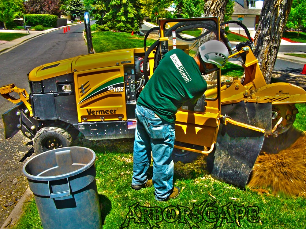 ARBORSCAPE 11 Photos & 50 Reviews Englewood, Colorado Tree