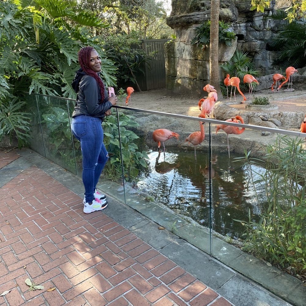 This is me at the zoo had a great time ! Not too crowded as you can see