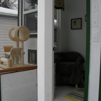 Sumner Cats Resort - Kitties front enclosure and front room - Pet Boarding Near Me - Edgewood, Washington Sumner Cats Resort - Kitties front enclosure and front room - Pet Boarding Near Me - Edgewood, Washington