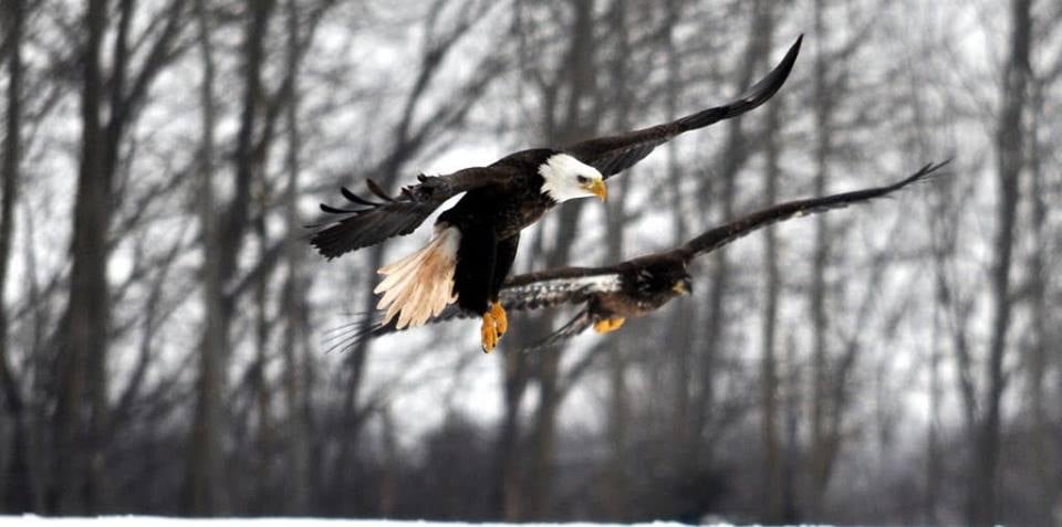Tidal Bore Rafting Resort