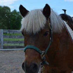 Little Dude Ranch