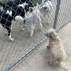 Ruby Grant Dog Park
