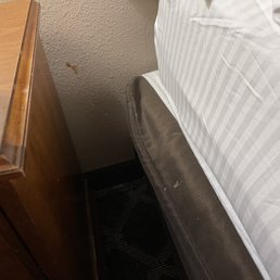 Brown smear on the wall. Brown smear on the wall.