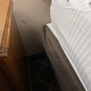 Quality Inn Eureka - Redwoods Area - Brown smear on the wall. - Hotels Near Me - Eureka, California Quality Inn Eureka - Redwoods Area - Brown smear on the wall. - Hotels Near Me - Eureka, California
