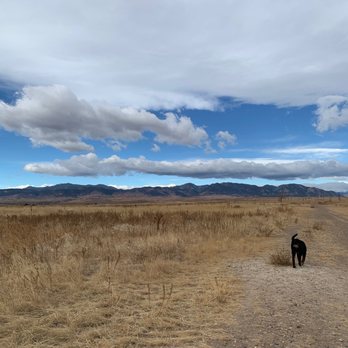 Westminster Dog Park - Dog Parks Near Me - Westminster, Colorado Westminster Dog Park - Dog Parks Near Me - Westminster, Colorado