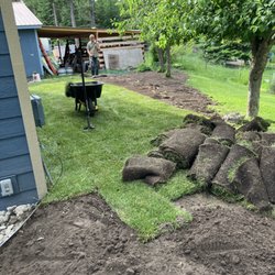Lake View Landscaping - Fresh sod Install