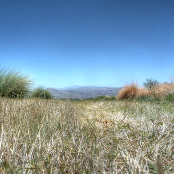 Cimarron Golf Resort - Some of the native grasses at Cimarron - Golf Near Me - Cathedral City, California Cimarron Golf Resort - Some of the native grasses at Cimarron - Golf Near Me - Cathedral City, California