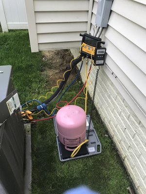 Ivy League Facility Services