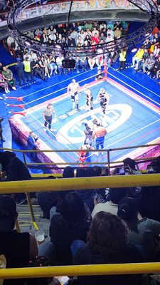 Arena Coliseo by null