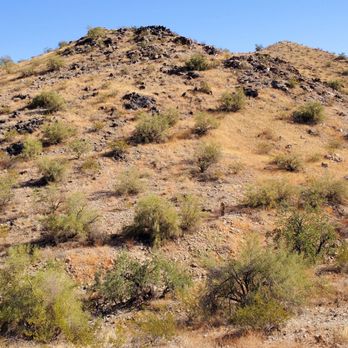Estrella Mountain Regional Park - Parks Near Me - Goodyear, Arizona Estrella Mountain Regional Park - Parks Near Me - Goodyear, Arizona