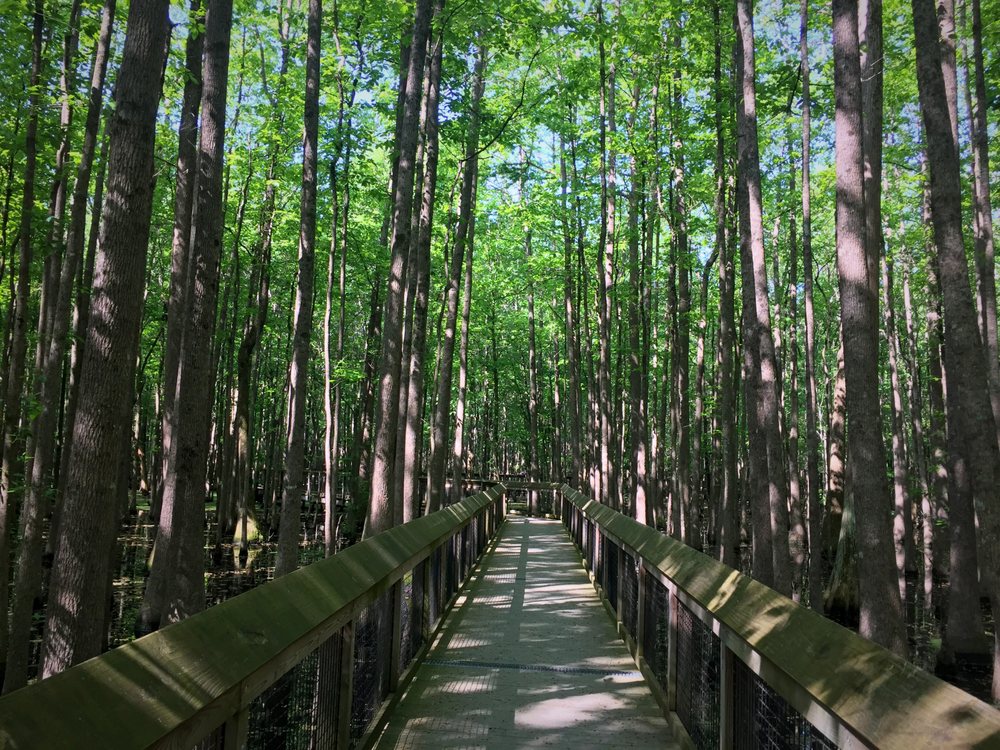 LOUISIANA PURCHASE HISTORIC STATE PARK Updated September 2024 10