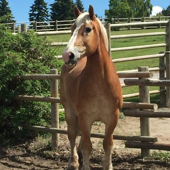 Heritage Park - Venues & Event Spaces Near Me - Calgary, Alberta Heritage Park - Venues & Event Spaces Near Me - Calgary, Alberta