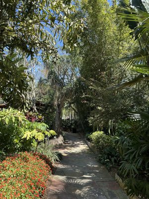 Sunken Gardens by null