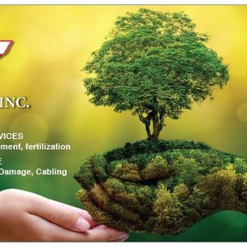 T & T Tree Service - Tree Services Near Me - Lambertville, New Jersey T & T Tree Service - Tree Services Near Me - Lambertville, New Jersey