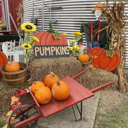 Gust Brother's Pumpkin Farm