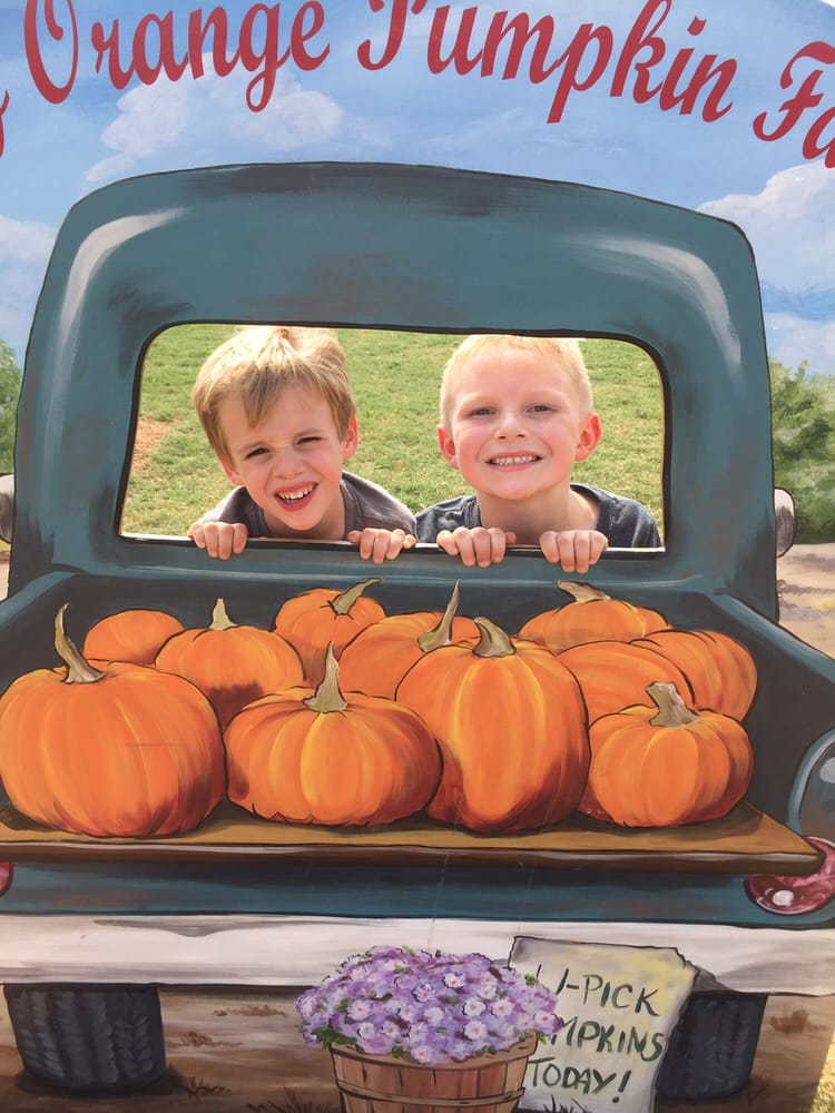 PREMIER MARTIAL ARTS FRISCO, TX Updated August 2024 22 Reviews