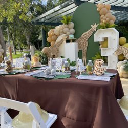 Hella Balloons - Kids paint party and display with backdrops, balloons + greenery, marquees and giraffe wood prop