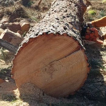 Stumpman - Tree Services Near Me Stumpman - Tree Services Near Me