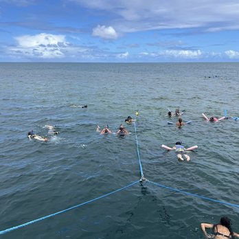 Captain Bob's Picnic Sail - Snorkeling - Boating Near Me - Kaneohe, Hawaii Captain Bob's Picnic Sail - Snorkeling - Boating Near Me - Kaneohe, Hawaii