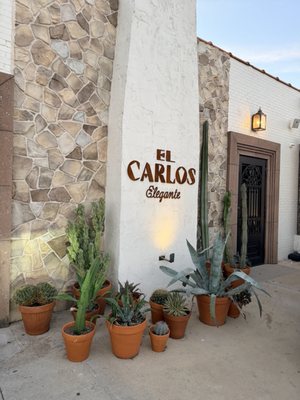 El Carlos Elegante by null