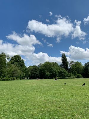 Oosterpark Amsterdam by null