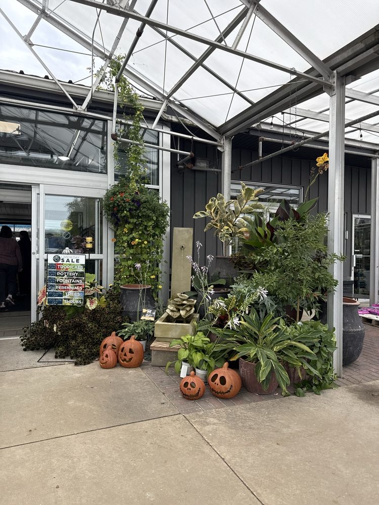 SARGENT’S FLORAL & GIFT - Updated February 2026 - 12 Photos & 15 ...