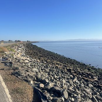 San Leandro Marina - Parks Near Me - San Leandro, California San Leandro Marina - Parks Near Me - San Leandro, California