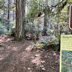 Old Fort Townsend State Park - Fort Townsend State Park - Botany trail from the campground