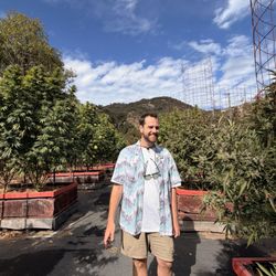 Sonoma Cannabis Tours 