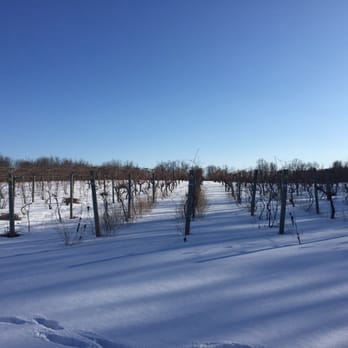 Wild Mountain Winery - Vineyards in the winter - Wineries Near Me - Taylors Falls, Minnesota Wild Mountain Winery - Vineyards in the winter - Wineries Near Me - Taylors Falls, Minnesota