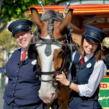 Crysta Brown Horsemanship - Horseback Riding Near Me Crysta Brown Horsemanship - Horseback Riding Near Me