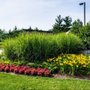 Green Crown Maintenance