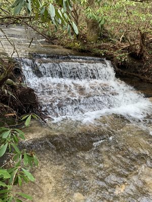 Yellow Branch Falls by null