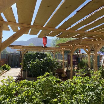 Zion's Backyard Bed and Breakfast - Backyard garden - Bed & Breakfast Near Me - Colorado City, Arizona