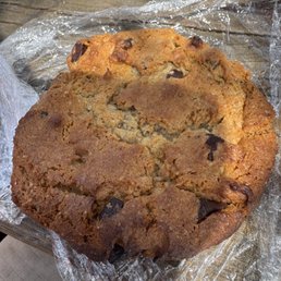 chocolate chip cookie