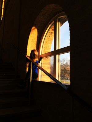 Alte Pinakothek by null