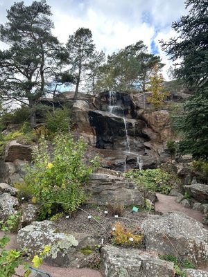 Gothenburg Botanical Garden by null