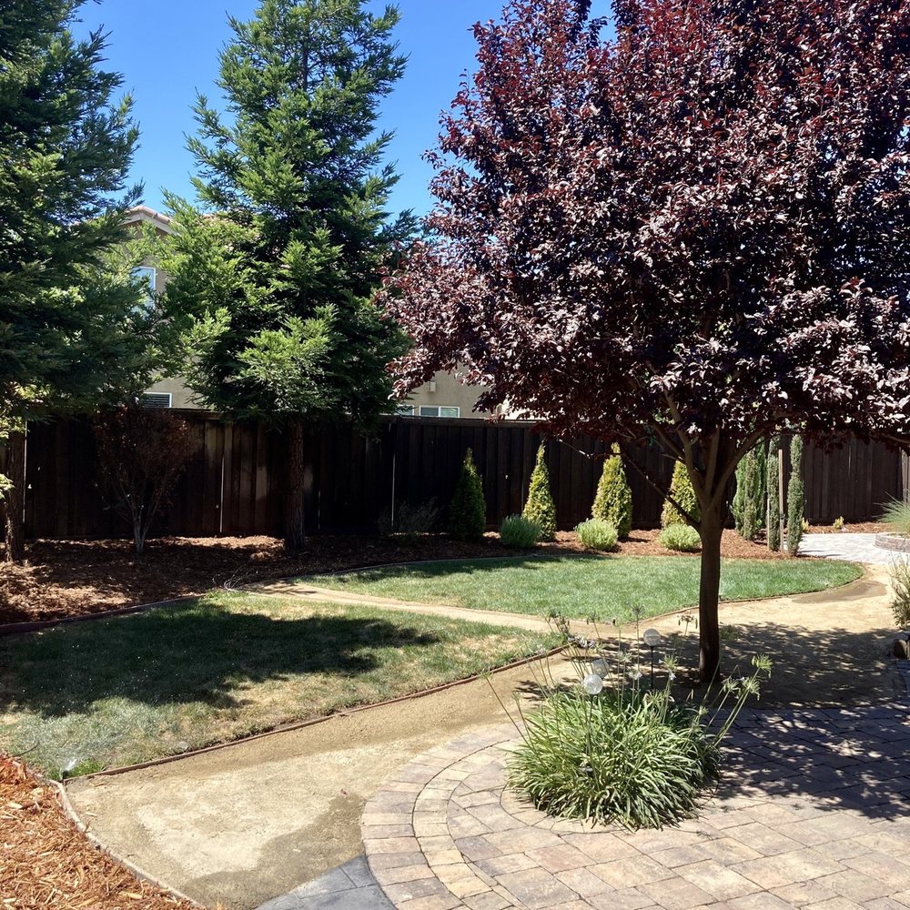 Olympus Pointe Landscape - Landscaping Near Me - Roseville, California Olympus Pointe Landscape - Landscaping Near Me - Roseville, California