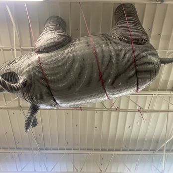 American Science & Surplus - Toy Stores Near Me - Milwaukee, Wisconsin