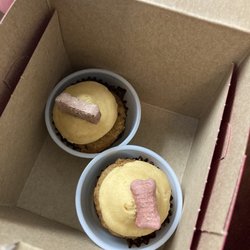 Smallcakes Tallahassee--A Cupcakery - Doggie Cupcakes!