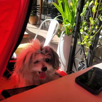 Kixi Cafe - Breakfast & Brunch Near Me - Boca Raton, Florida