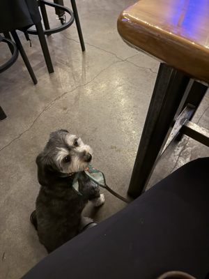 Bridge 99 Brewery by null