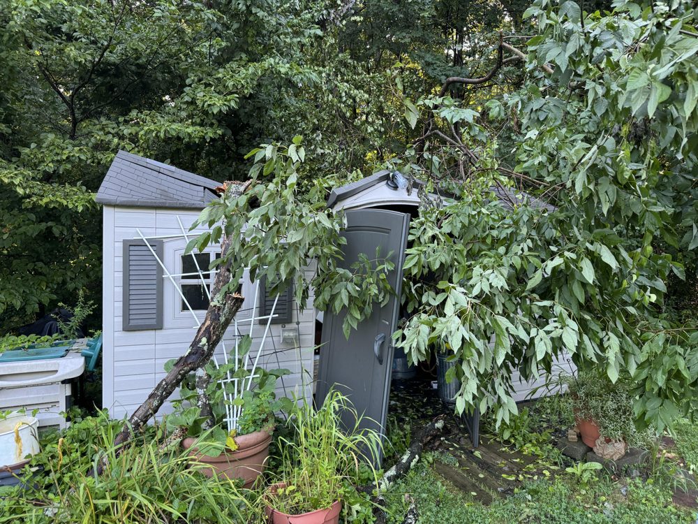 J&D Tree Pros - tree service in Cumberland, RI