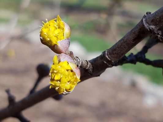 Mark Webber's Landscaping Company