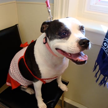 Simmonds Veterinary Hospital - Veterinarians Near Me - Allentown, Pennsylvania Simmonds Veterinary Hospital - Veterinarians Near Me - Allentown, Pennsylvania