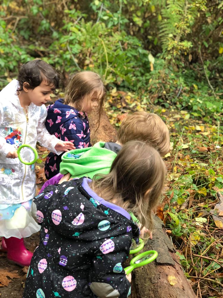 Wee Care Academy - childcare center in Lynnwood, WA