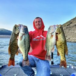 Shasta Bass Baits