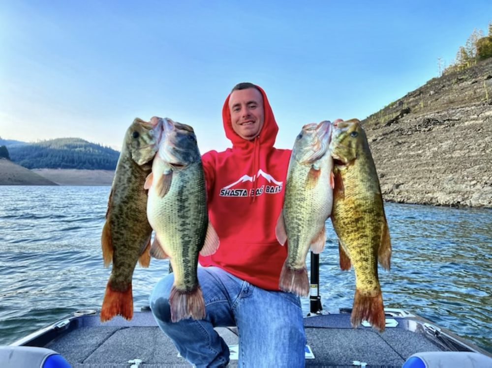 Shasta Bass Baits Logo