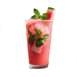 Vytal Nutrition Smoothie Bar - Watermelon Mint tea refreshers!