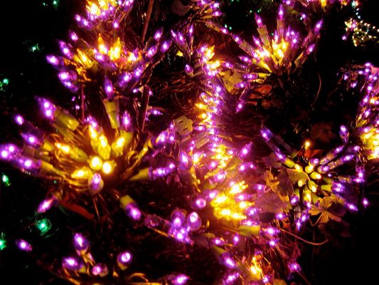 Garden d’Lights by null